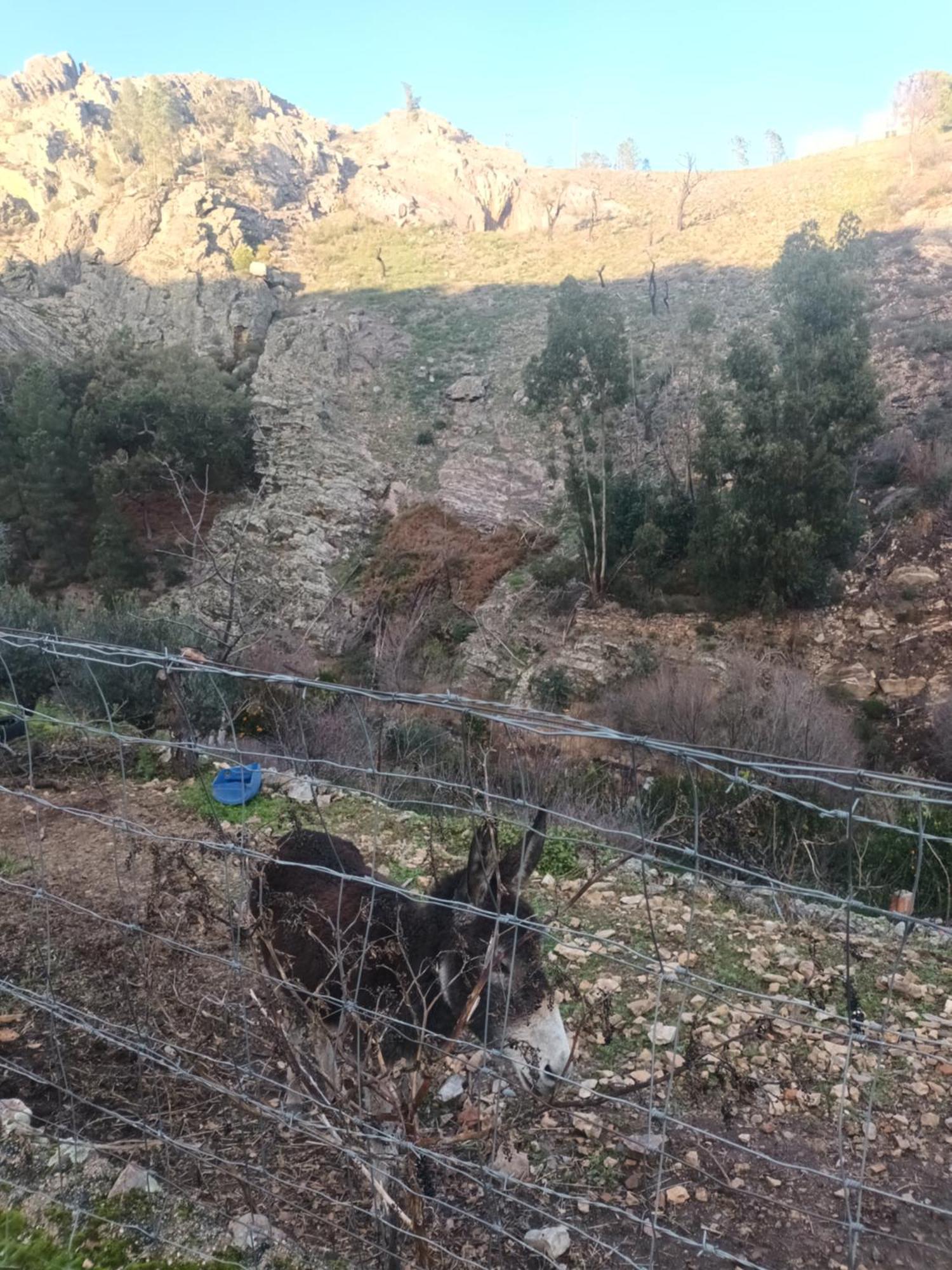 فيلا Casinha Garcia بنيا جارسيا المظهر الخارجي الصورة